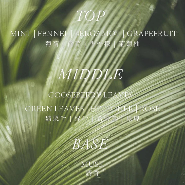 Beaut Lover Citrus Deodorant Oriental Floral Nightclub Custom Wholesale Unisex Women Men Perfume for Covering Armpit Odor